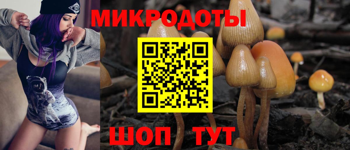 Галлюциногенные грибы MAGIC MUSHROOMS  дарнет шоп  Славгород  Вход с VPN 
