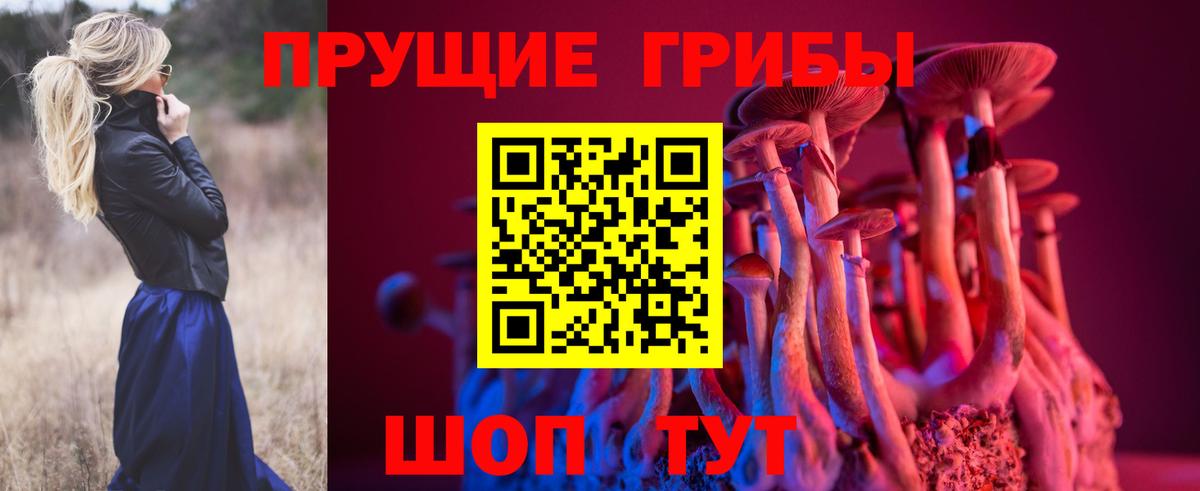 Псилоцибиновые грибы Magic Shrooms Славгород